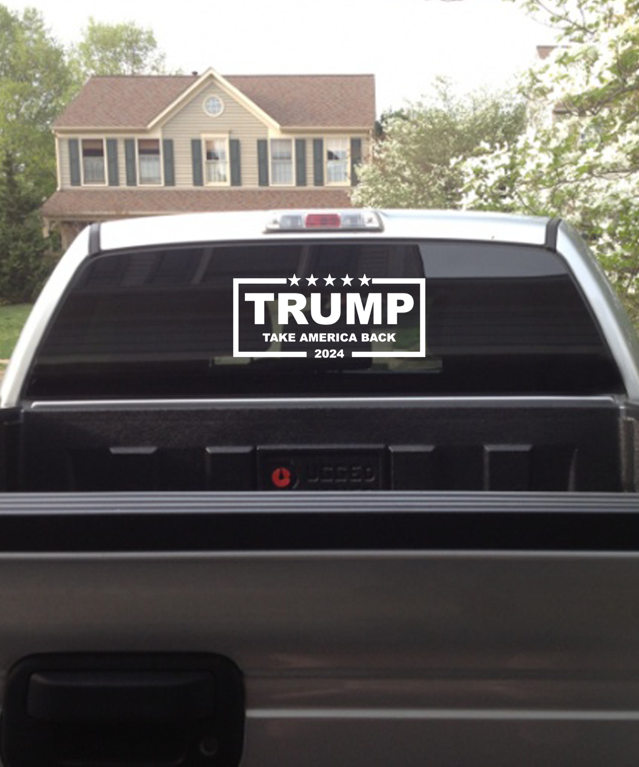 Trump Take America Back Vinyl Decal