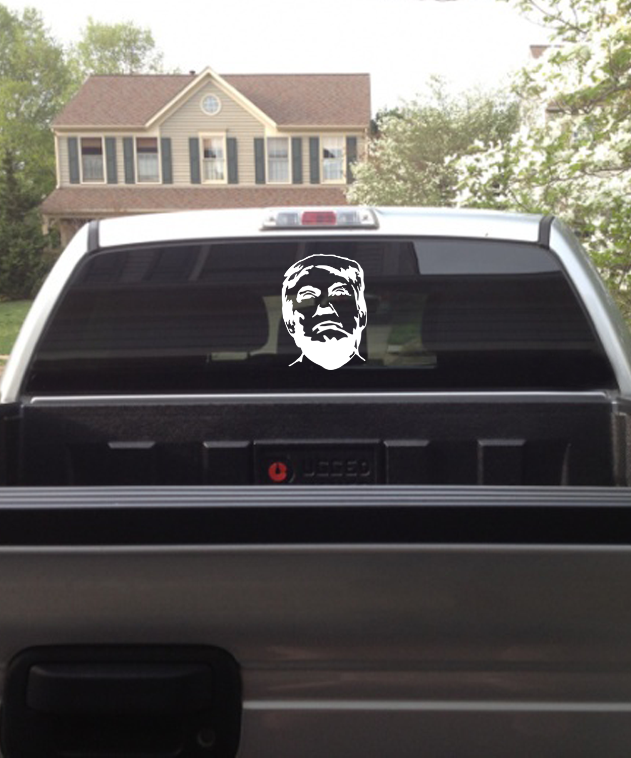 Trump Face Vinyl Decal